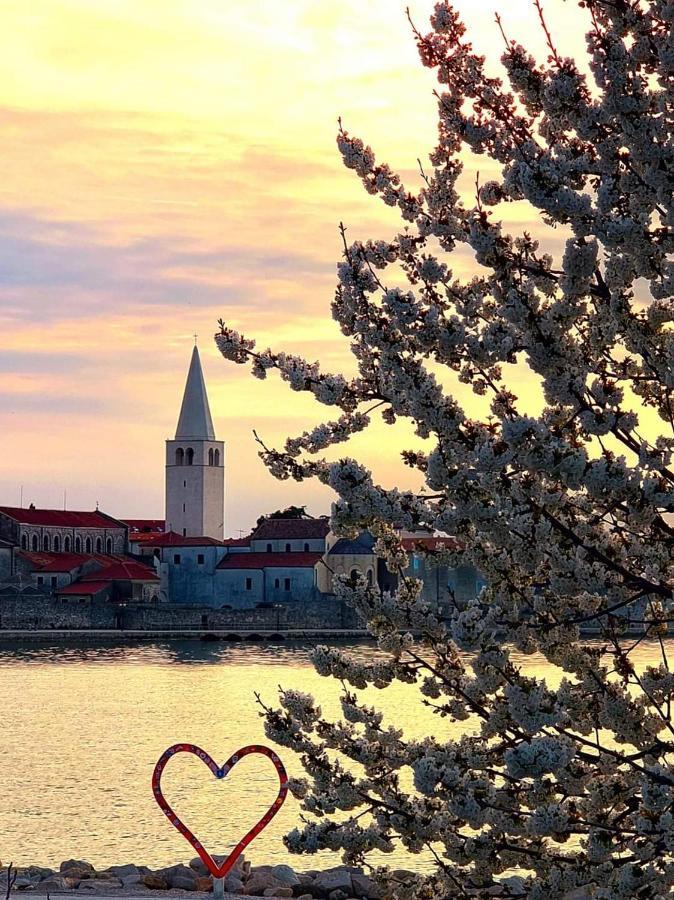 Apartman Perla Deluxe Poreč Exteriér fotografie